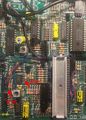 AmpY2 R61 ISS1a.jpg