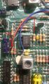 AmpY2 R61 ISS1b.jpg